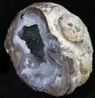 Crystal Filled Dugway Geode (Polished Half) #33163-1
